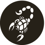 Blue Scorpion Logo